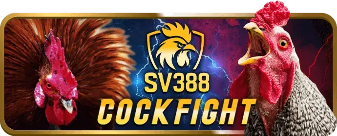 Phân tích ưu đãi bj88vn